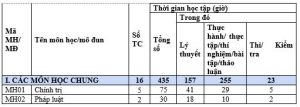 CHƯƠNG TRÌNH ĐÀO TẠO CAO ĐẲNG NGÀNH TÀI CHÍNH NGÂN HÀNG