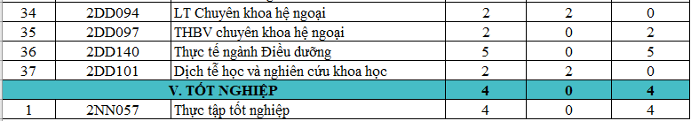 CHƯƠNG TRÌNH ĐÀO TẠO CAO ĐẲNG NGÀNH ĐIỀU DƯỠNG